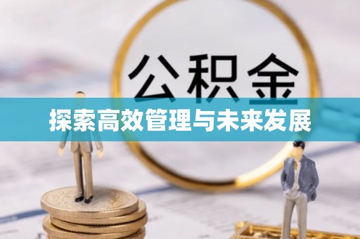 哈巴河探索高效管理与未来发展