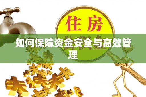 哈巴河如何保障资金安全与高效管理