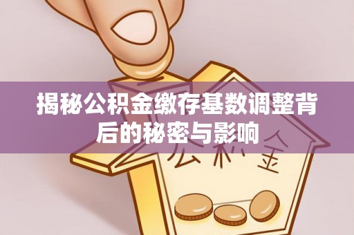 哈巴河揭秘公积金缴存基数调整背后的秘密与影响