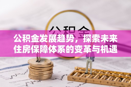 哈巴河公积金发展趋势，探索未来住房保障体系的变革与机遇