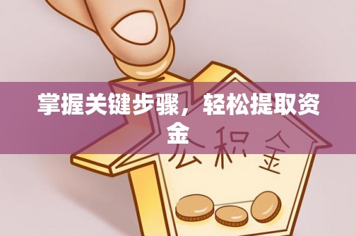 哈巴河掌握关键步骤，轻松提取资金