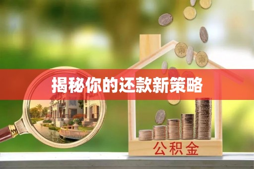 哈巴河揭秘你的还款新策略