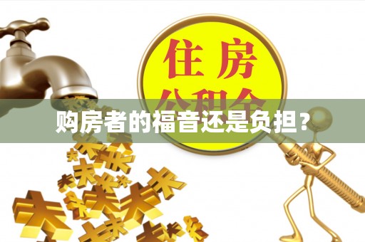 哈巴河购房者的福音还是负担？