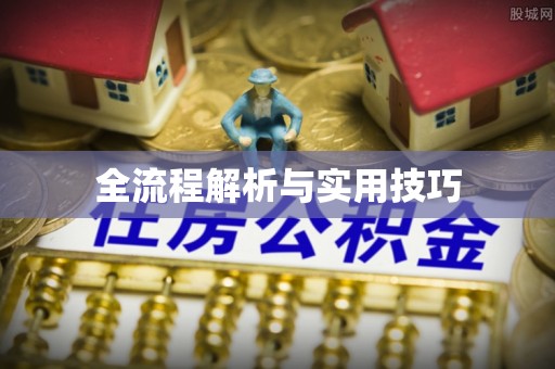 哈巴河全流程解析与实用技巧