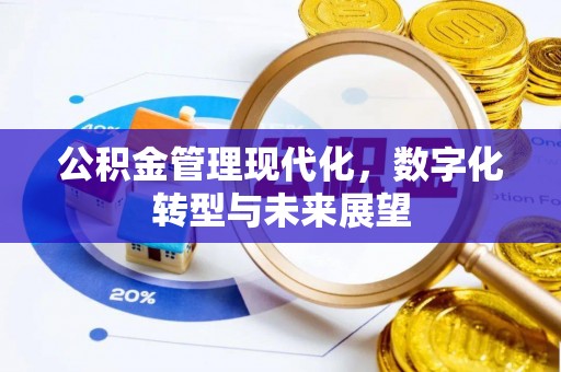 哈巴河公积金管理现代化，数字化转型与未来展望