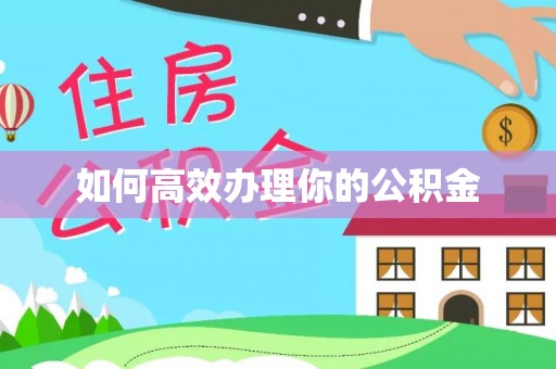 哈巴河如何高效办理你的公积金