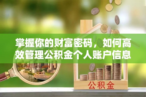 哈巴河掌握你的财富密码，如何高效管理公积金个人账户信息