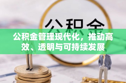 哈巴河公积金管理现代化，推动高效、透明与可持续发展