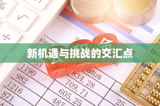 哈巴河新机遇与挑战的交汇点