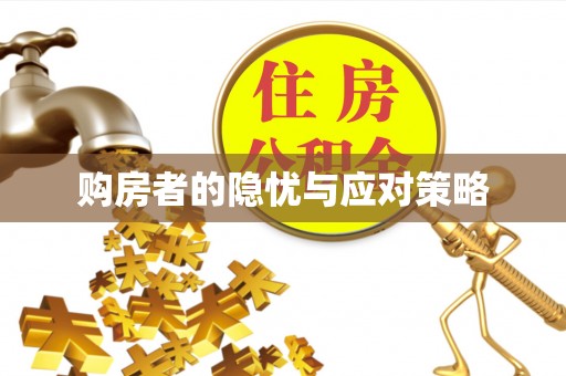 哈巴河购房者的隐忧与应对策略