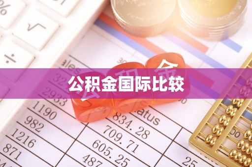哈巴河公积金国际比较