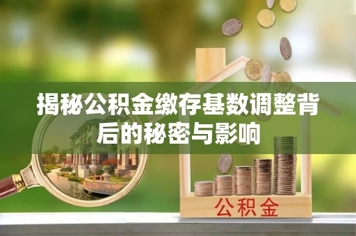 哈巴河揭秘公积金缴存基数调整背后的秘密与影响
