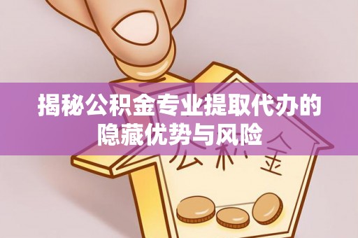 哈巴河揭秘公积金专业提取代办的隐藏优势与风险