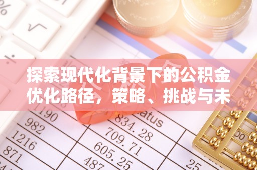 哈巴河探索现代化背景下的公积金优化路径，策略、挑战与未来展望
