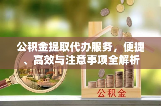 哈巴河公积金提取代办服务，便捷、高效与注意事项全解析