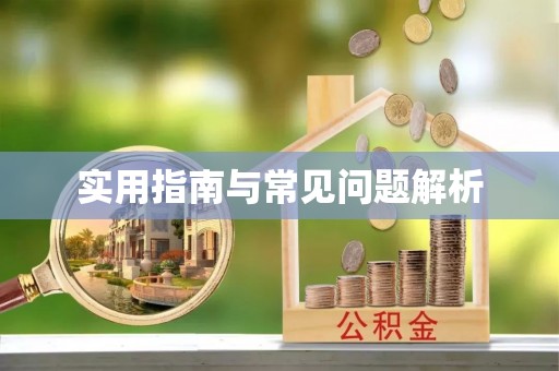 哈巴河实用指南与常见问题解析