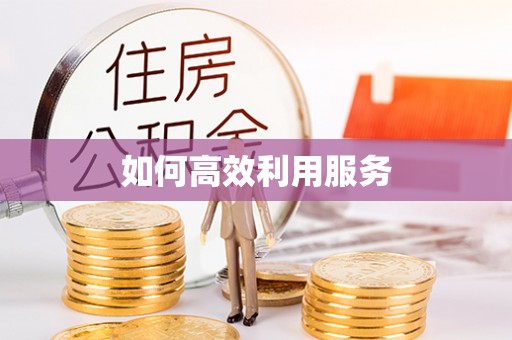 哈巴河如何高效利用服务