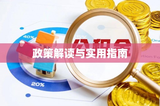 哈巴河政策解读与实用指南