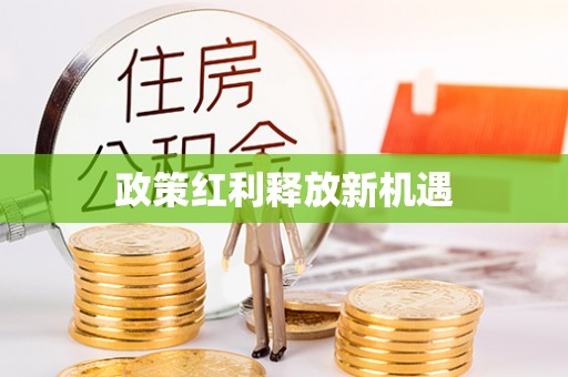 哈巴河政策红利释放新机遇