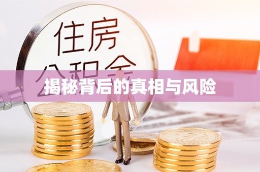 哈巴河揭秘背后的真相与风险