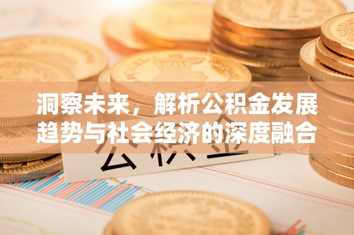 哈巴河洞察未来，解析公积金发展趋势与社会经济的深度融合