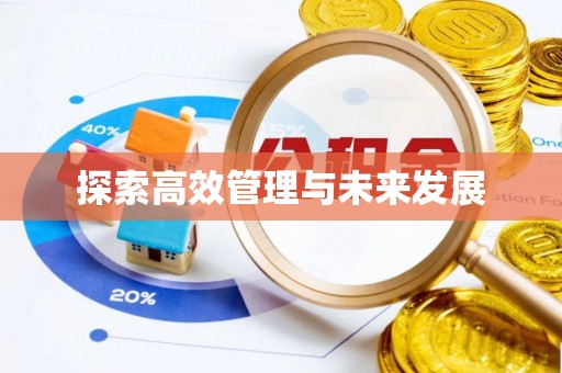 哈巴河探索高效管理与未来发展