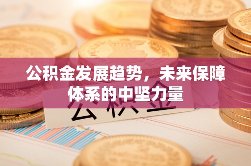 哈巴河公积金发展趋势，未来保障体系的中坚力量