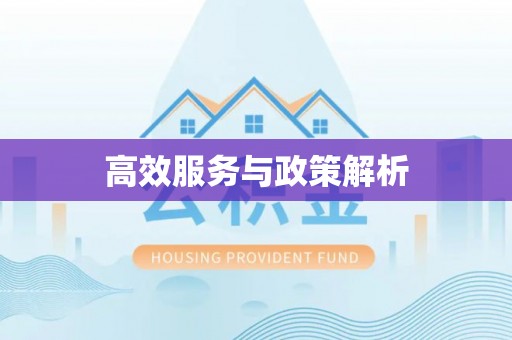 哈巴河高效服务与政策解析