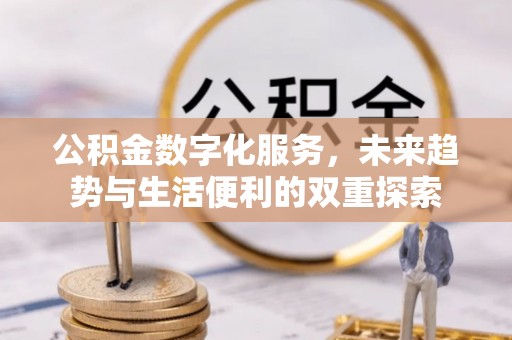 哈巴河公积金数字化服务，未来趋势与生活便利的双重探索