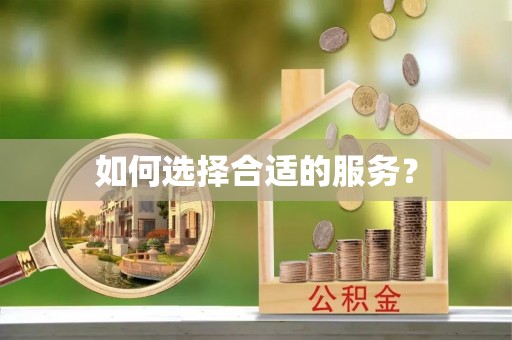 哈巴河如何选择合适的服务？