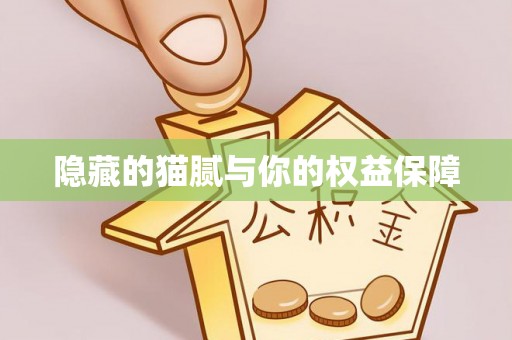 哈巴河隐藏的猫腻与你的权益保障