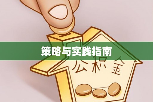 哈巴河策略与实践指南