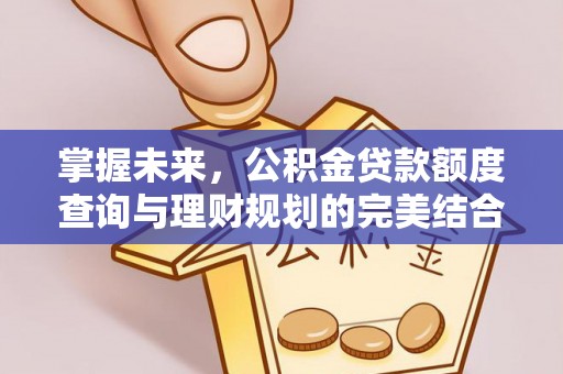 哈巴河掌握未来，公积金贷款额度查询与理财规划的完美结合