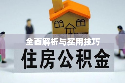 哈巴河全面解析与实用技巧