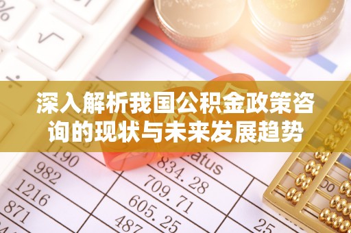 哈巴河深入解析我国公积金政策咨询的现状与未来发展趋势
