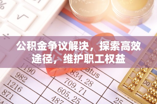 哈巴河公积金争议解决，探索高效途径，维护职工权益