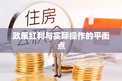 哈巴河政策红利与实际操作的平衡点