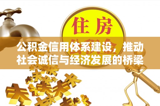 哈巴河公积金信用体系建设，推动社会诚信与经济发展的桥梁