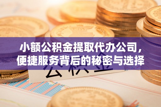 哈巴河小额公积金提取代办公司，便捷服务背后的秘密与选择指南