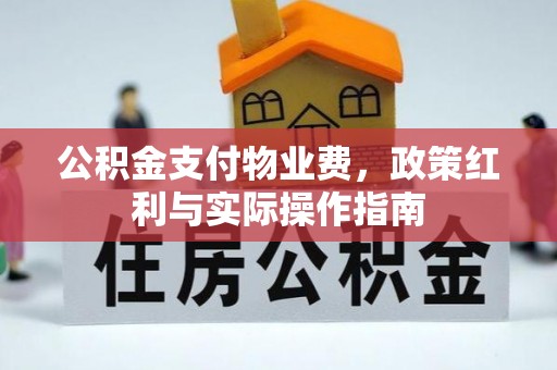 哈巴河公积金支付物业费，政策红利与实际操作指南