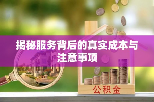 哈巴河揭秘服务背后的真实成本与注意事项