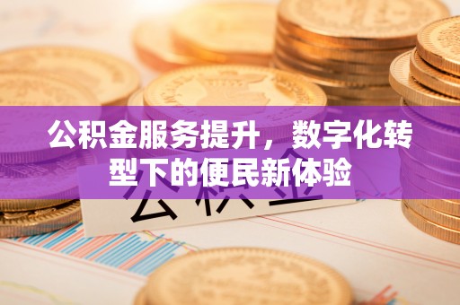 哈巴河公积金服务提升，数字化转型下的便民新体验