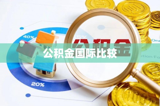 哈巴河公积金国际比较