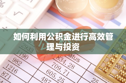 哈巴河如何利用公积金进行高效管理与投资