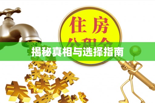 哈巴河揭秘真相与选择指南