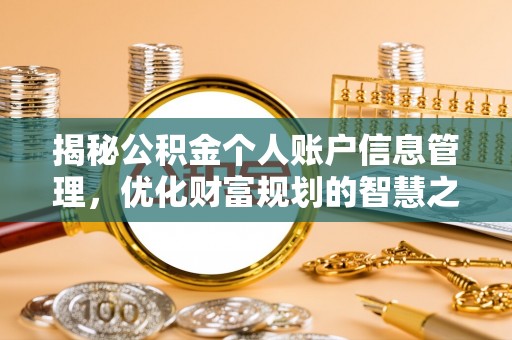 哈巴河揭秘公积金个人账户信息管理，优化财富规划的智慧之选