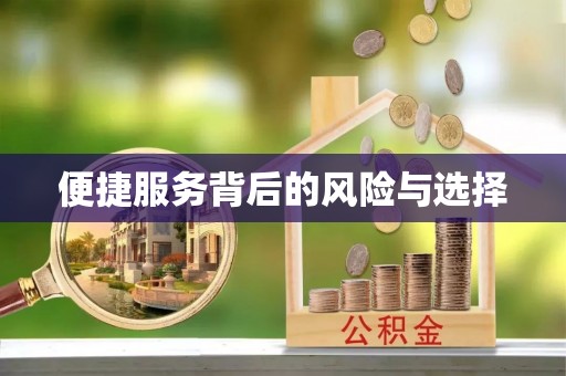 哈巴河便捷服务背后的风险与选择