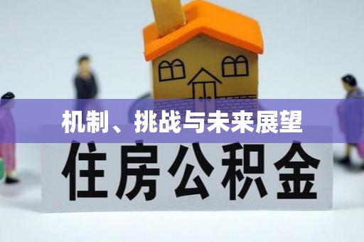 哈巴河机制、挑战与未来展望