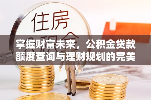 哈巴河掌握财富未来，公积金贷款额度查询与理财规划的完美结合